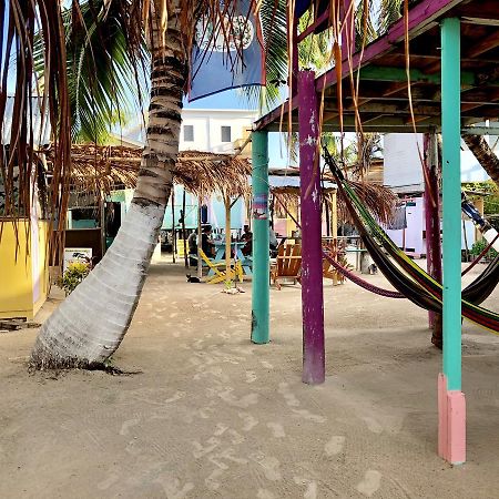 Tropical Oasis Hostel Caye Corker Exterior photo